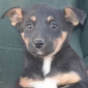 Meet your Posher, Donna kaye